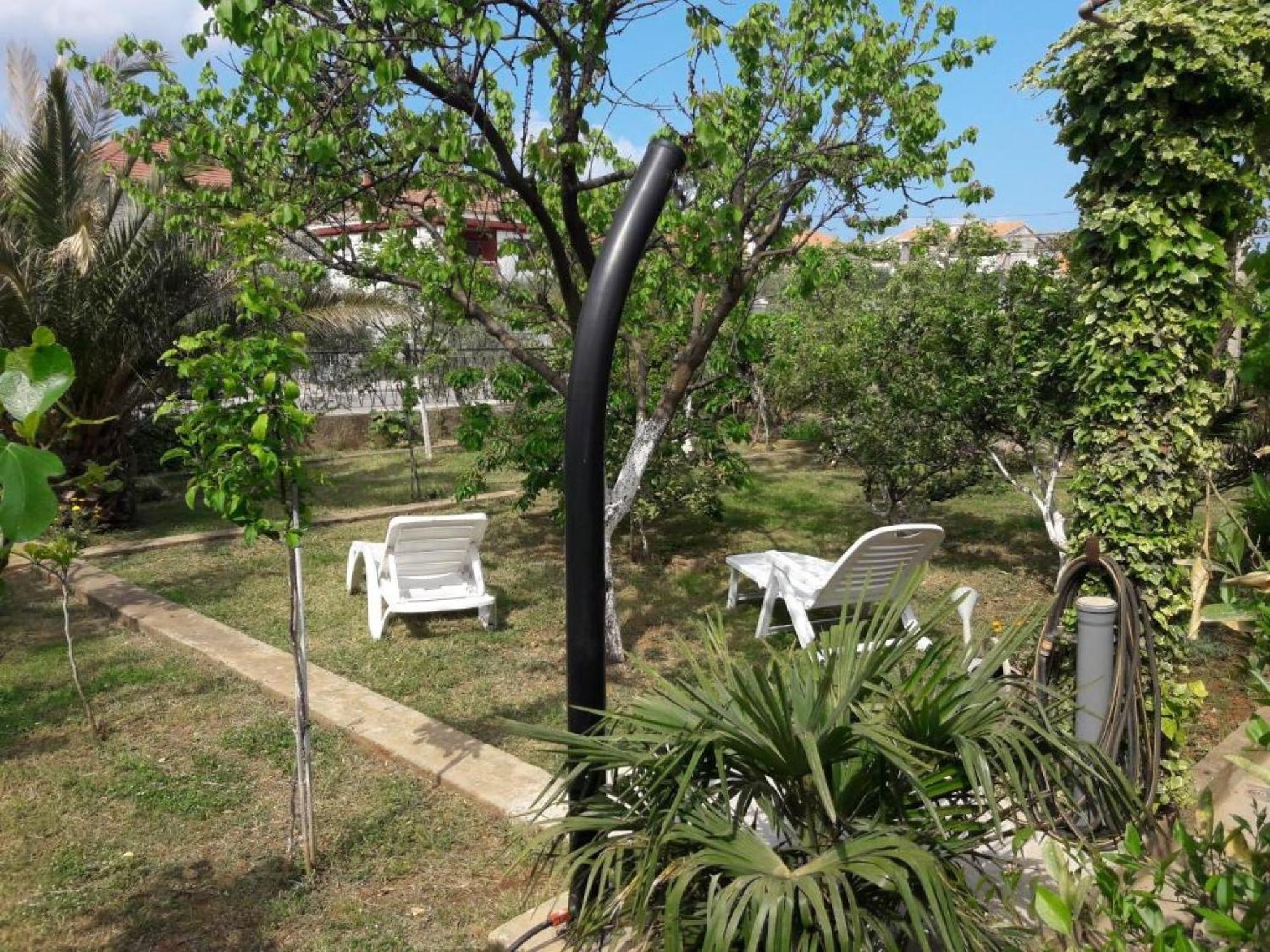 Apartments Amalia Zadar Room photo